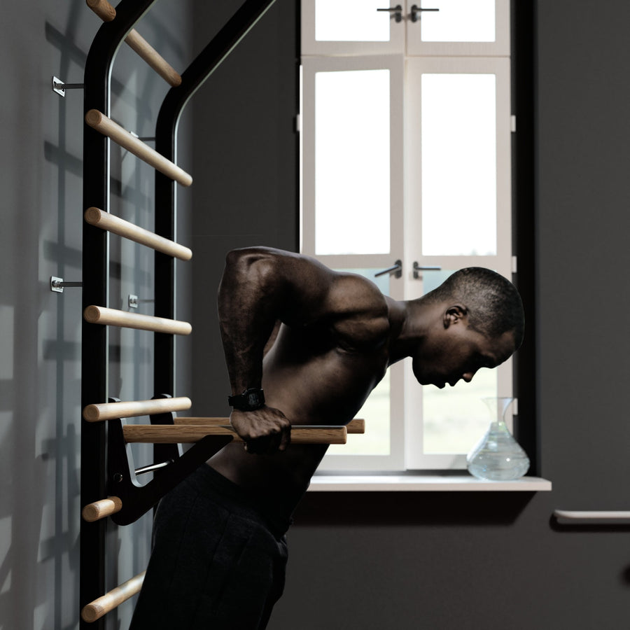 Dip bars & dumbbell rack for wall bars